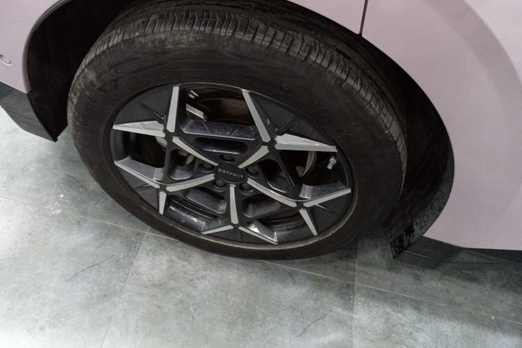 Used Lynk & Co Z20 2025 530 km Range Rear-Wheel Drive Max
