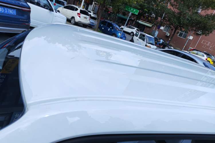 Used  Panda 2024 Panda Mini 200km Endurance Bear
