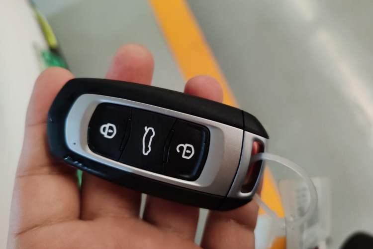 Used  Panda 2025 210 km – Yuanqi Bear
