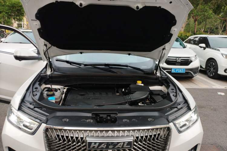 Used Haval H6 2021 1.5T Automatic Champion Edition
