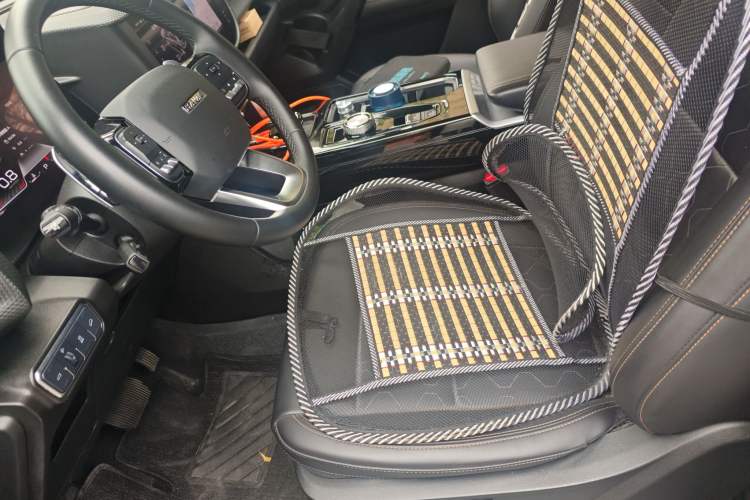 Used Haval DARGO 2021 2.0T DCT 4x4 Chinese Rural Dog Edition
