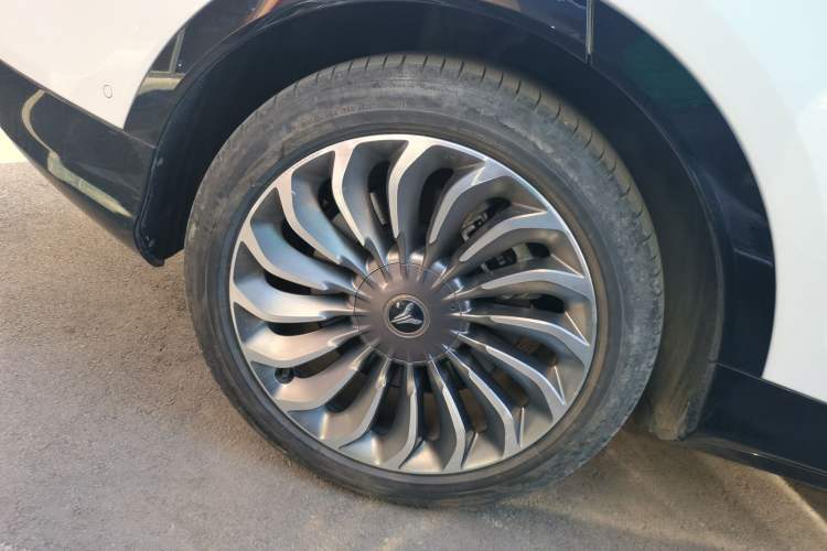 Used VOYAH FREE 2021 Two-Wheel Drive Standard Pure Electric City Edition