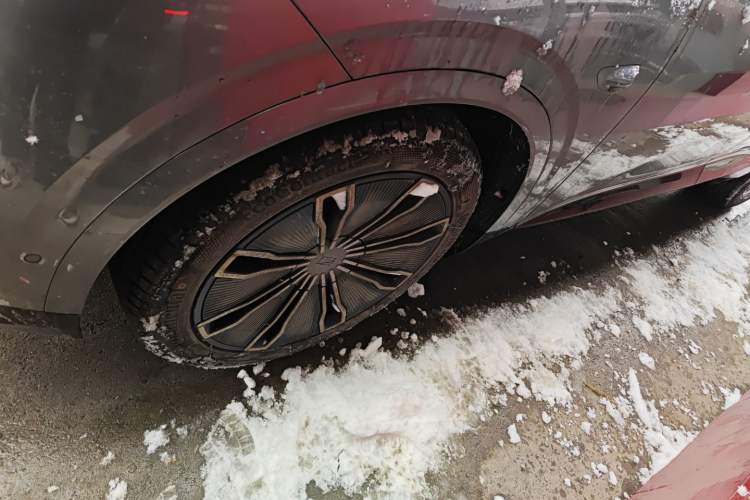 Used  07 2024 Max Extended-Range Edition