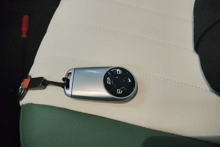 Used ORA Good Cat 2023 401 km Standard Range Luxury Version Lithium Iron Phosphate
