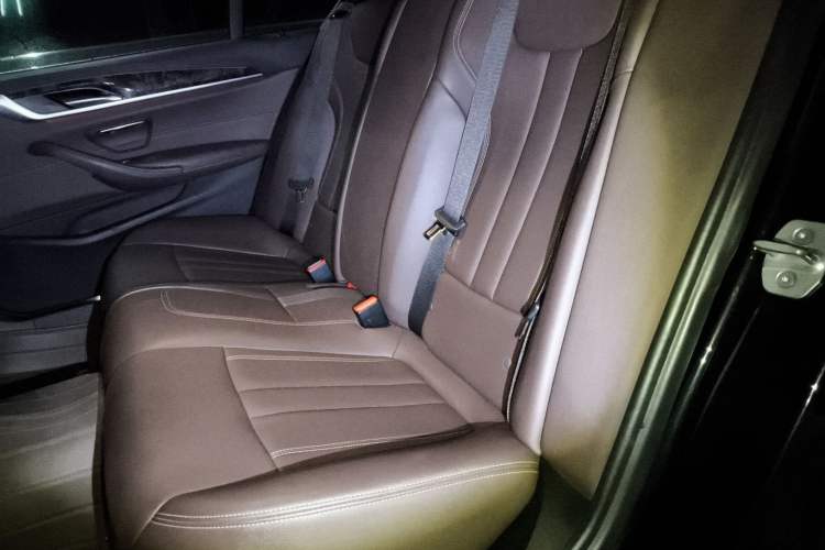 Used BMW 5 Series 2019 525Li M Sport Package