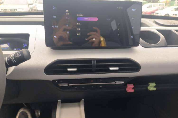 Used  Panda 2023 Panda Mini 200km Endurance Bear