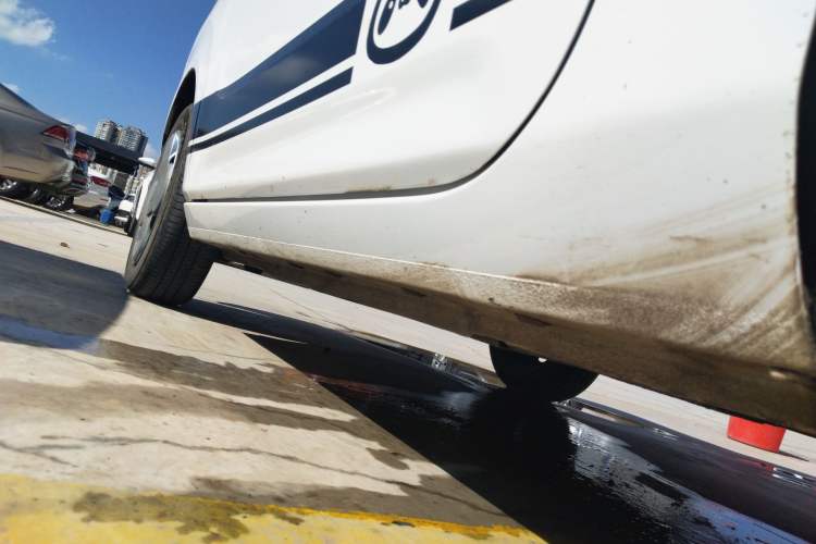 Used  Panda 2023 Panda Mini 200km Endurance Bear
