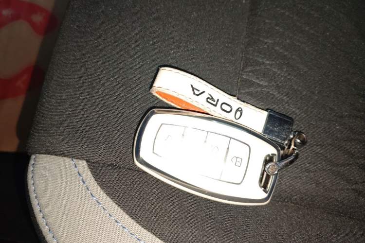 Used ORA Black Cat 2021 351 km Luxury Version