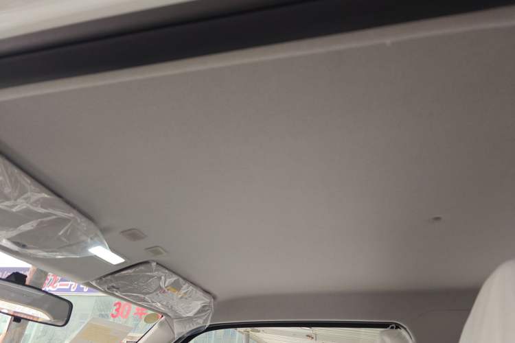 Used  Panda 2025 210 km – Yuanqi Bear