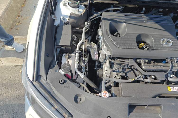 Used Lexus ES 2025 200 Premium Edition
