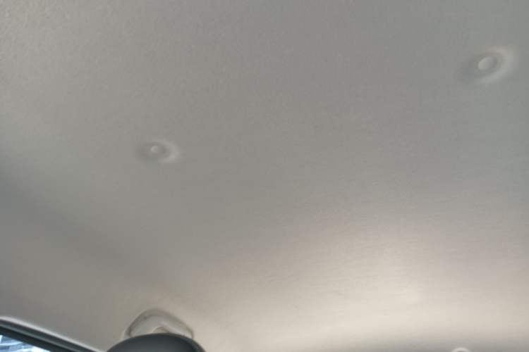 Used ORA White Cat 2022 Xiaoyue Mao Edition 360 km Luxury Model Lithium NMC
