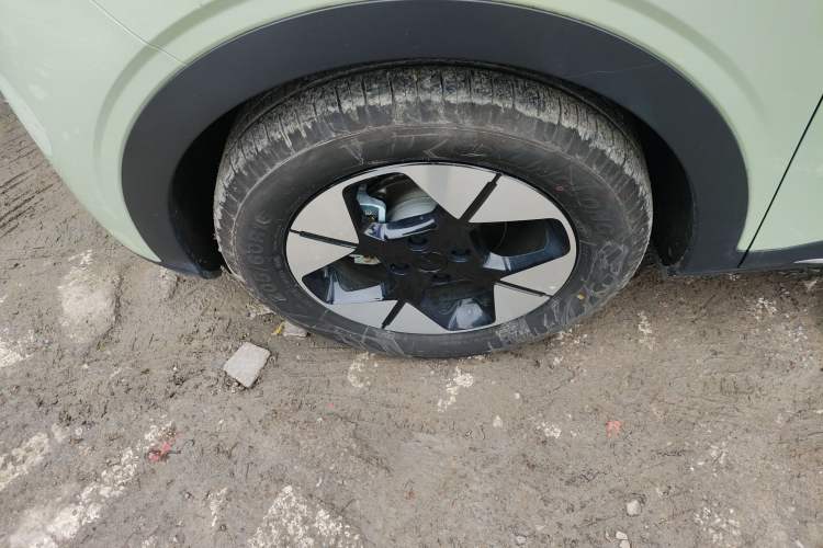 Used  Geome 2025 310km Dream Edition
