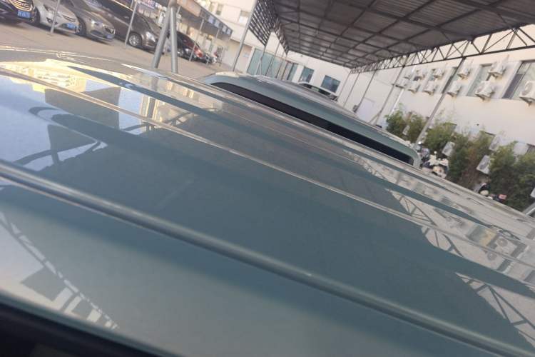 Used  Panda 2024 Panda Mini 200km Endurance Bear
