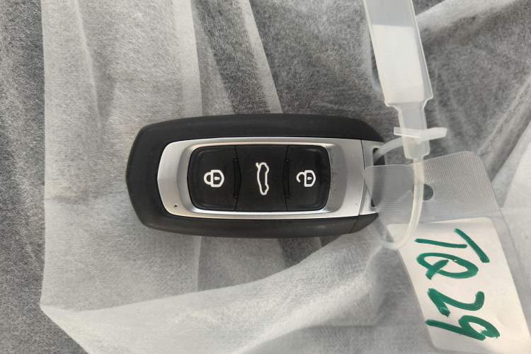 Used  Panda 2024 Panda Mini 200km Endurance Bear
