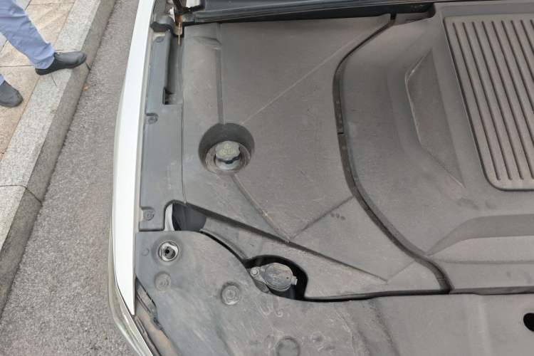 Used BYD Qin PLUS 2023 Champion Edition EV 510KM Leading Model
