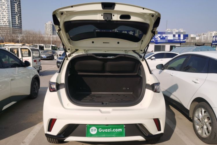 Used BYD Dolphin 2025 420km Free Edition