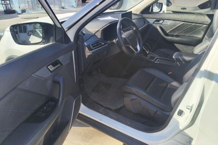 Used Venucia T60EV 2020 AI Enjoyment Model