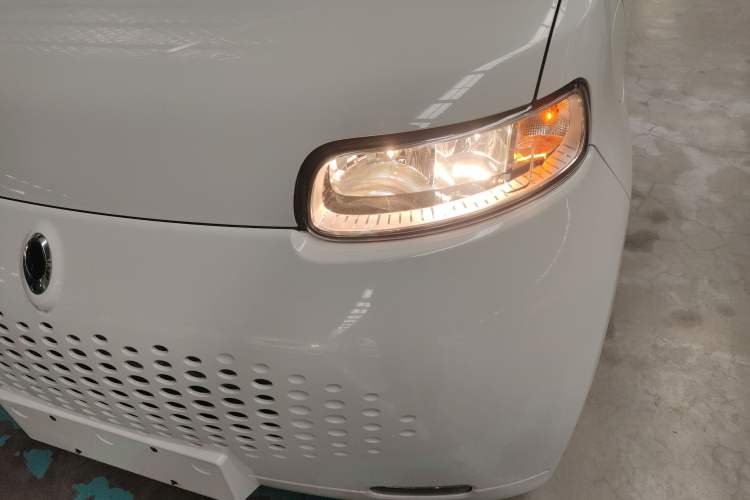 Used ORA White Cat 2020 305 km Luxury Version
