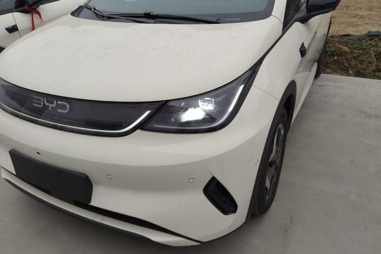 Used BYD Dolphin 2025 Smart Drive Version 420 km Freedom Edition
