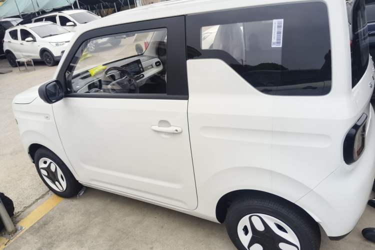Used  Panda 2025 210 km – Yuanqi Bear
