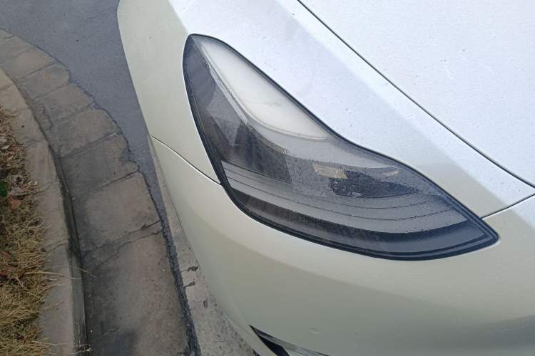 Used Tesla Model Y 2021 Standard Range Rear-Wheel Drive Version