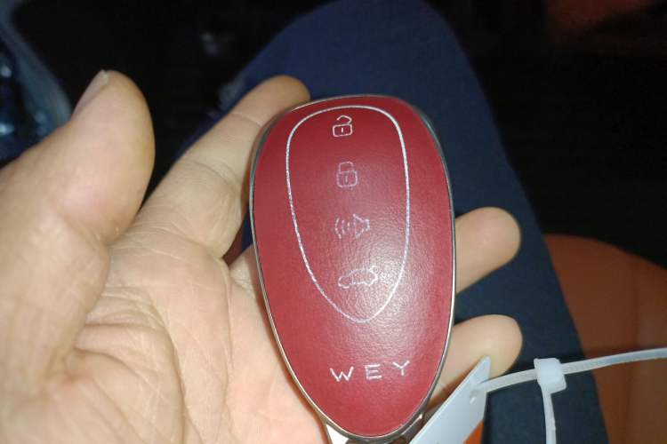 Used Wey Lanshan 2023 Four-Wheel Drive Ultra-Long Range Version
