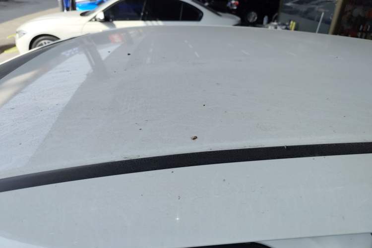 Used Honda Fit 2021 1.5L CVT Trend Edition