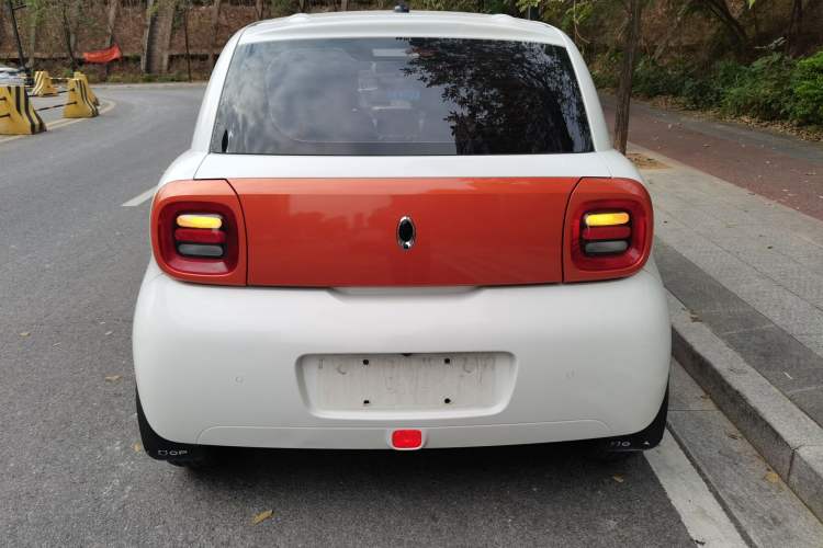 Used ORA Black Cat 2019 351 km Goddess Edition
