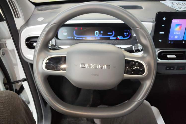 Used  Panda 2025 210km Panda Rider