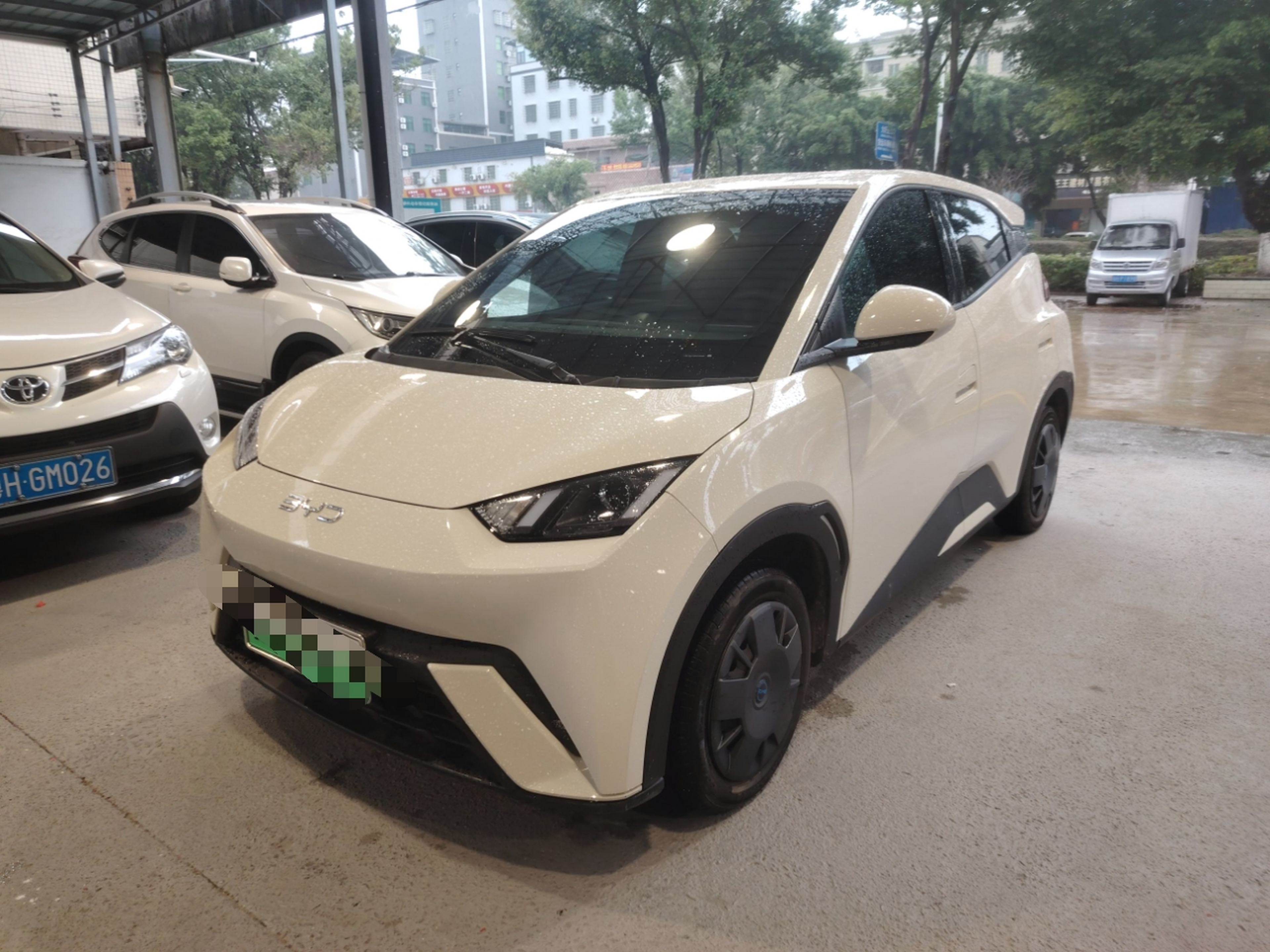 تحت مقدمة السيارة