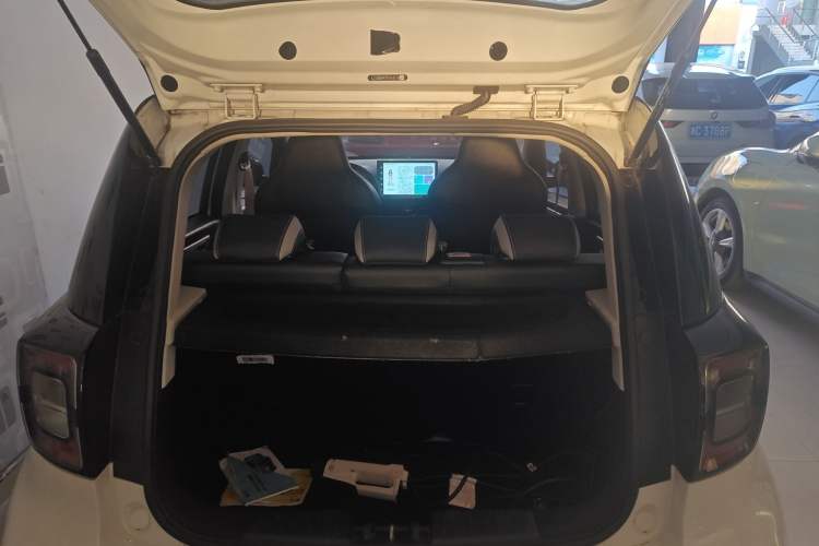 Used SOL E10X 2022 Flower Fairy Style Baby's Breath
