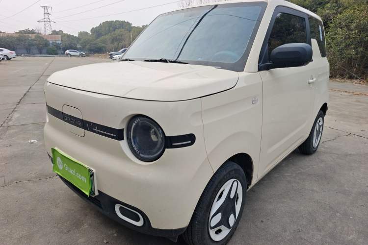 Used  Panda 2025 210 km – Yuanqi Bear