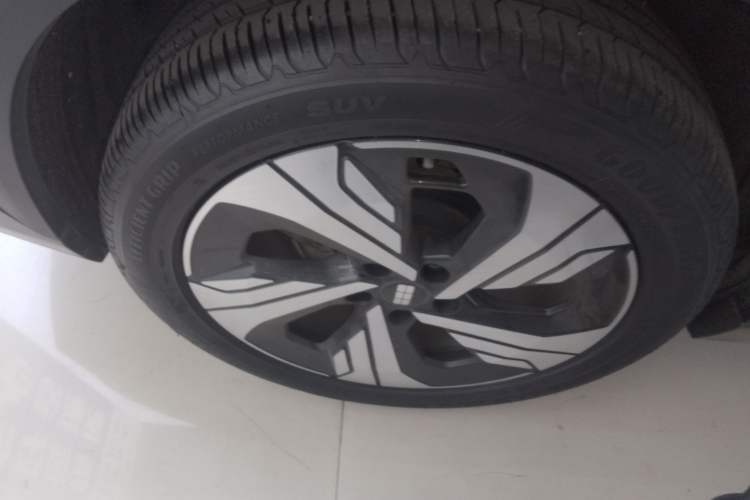 Used  E5 2024 530km Starship Edition
