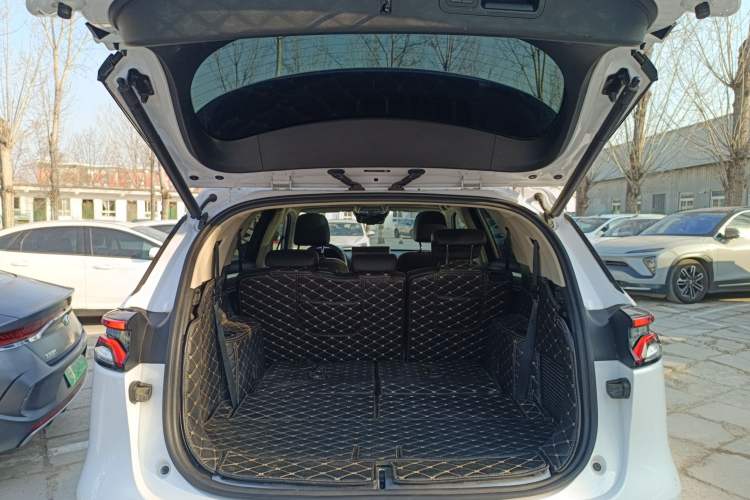 Used BYD Tang New Energy 2019 EV600 Two-Wheel Drive Smart Connectivity Deluxe Model
