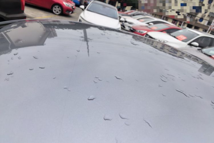 Used BYD Qin PLUS 2024 HONOR Edition DM-i 55KM Leading Model
