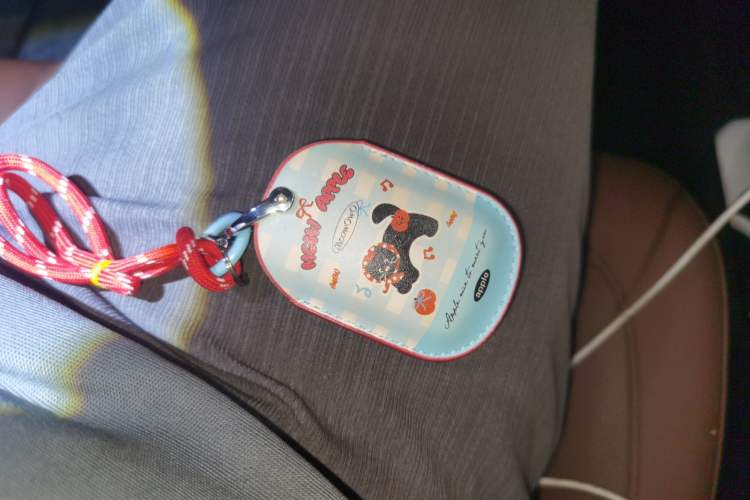 Used Honda UR-V 2020 370TURBO Two-Wheel Drive Luxury Edition
