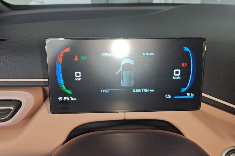 Used BYD Seagull 2025 305 km Free Version
