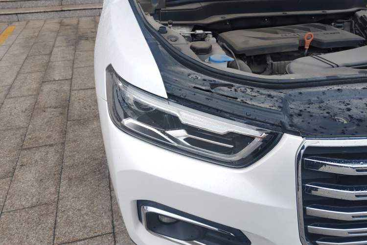 Used Haval H6 2020 1.5 GDIT Automatic Platinum Champion Edition
