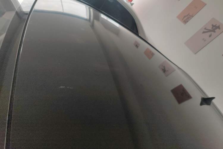 Used SOL E10X 2022 Flower Fairy Design Four-Leaf Clover