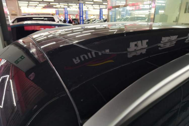 Used  #1 2022 Pulse Heartbeat Edition