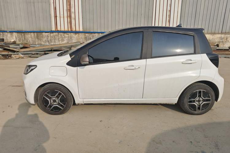 Used SOL E10X 2022 Flower Fairy Design Four-Leaf Clover