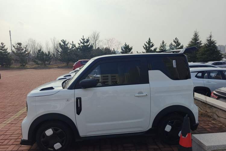 Used  Panda 2025 210km Panda Kart
