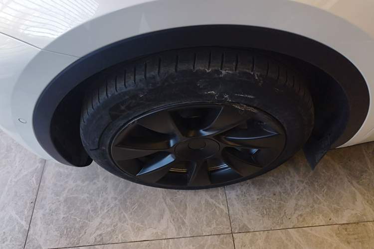 Used Tesla Model Y 2021 Standard Range Rear-Wheel Drive Version