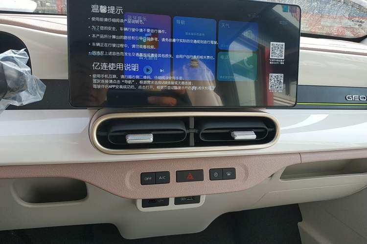 Used  Panda 2025 210 km – Yuanqi Bear
