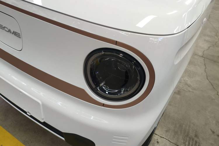 Used  Panda 2024 Panda Mini 200km Endurance Bear
