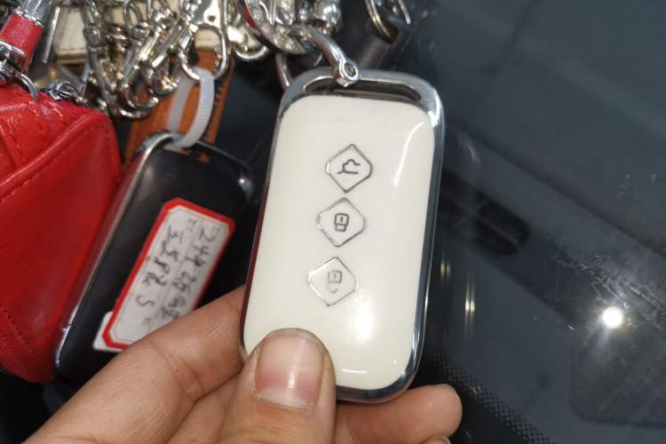 Used Wuling Xingguang S 2024 130 km Flagship Version
