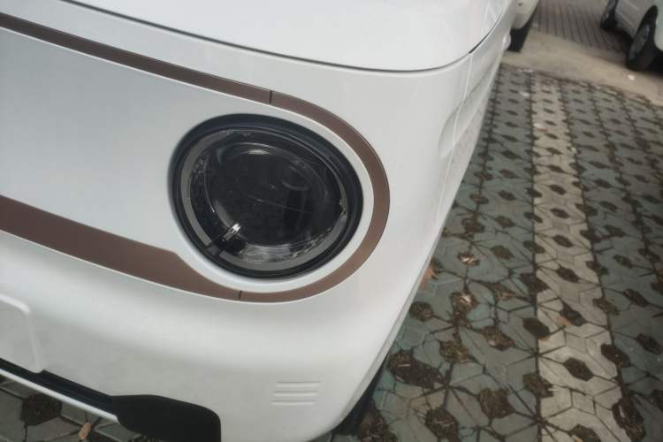 Used  Panda 2024 Panda Mini 200km Endurance Bear
