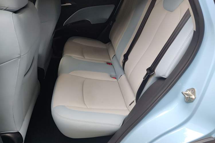 Used NETA AYA 2023 318 Lite
