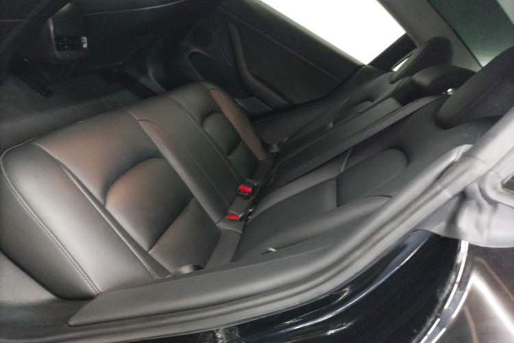 Used Tesla Model 3 2022 Rear-Wheel-Drive Version
