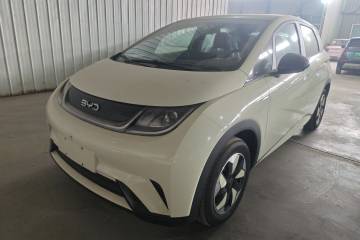 Used BYD Dolphin 2025 420km Free Edition